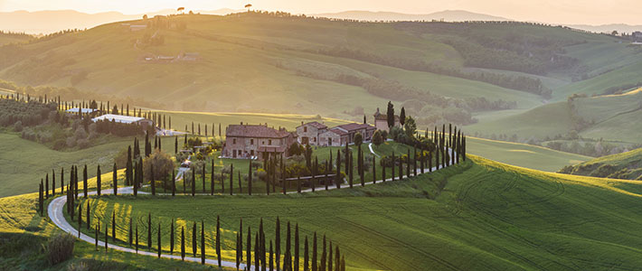 siena in spring time