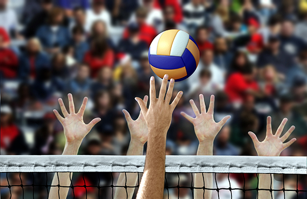 Volleyball Image