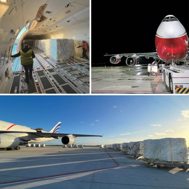 Collage of the Cargo team