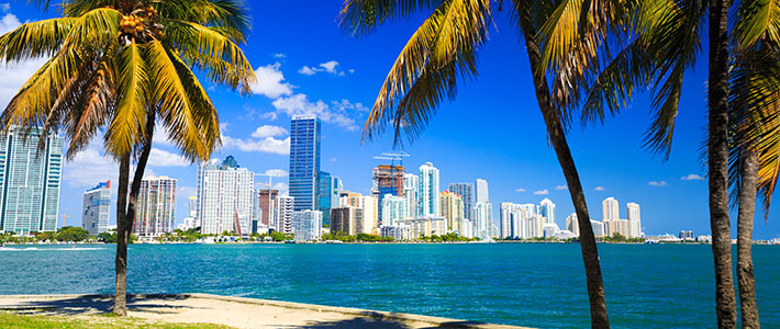 miami florida city overview header