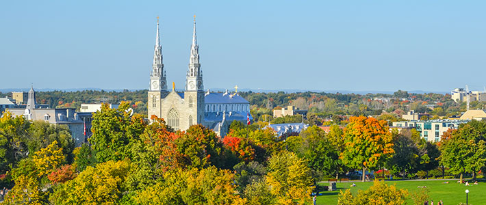 notre dame basilica