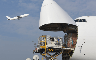 Cargo Airplane Flying: Reliable Air Charter for Seasonal Goods